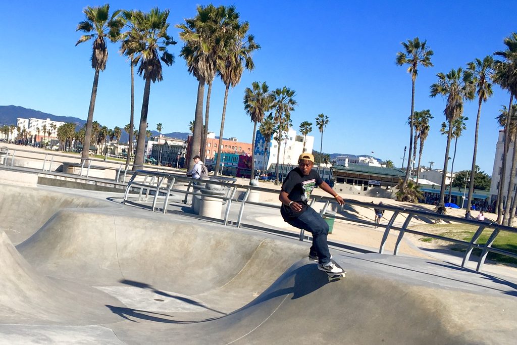 A skateboarder riding the bowl at Venice Beach skate park under palm trees — a stop on the LA City Tour from Anaheim and Disneyland hotels